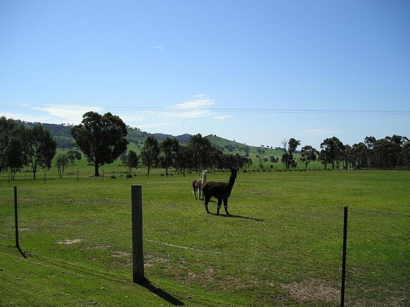 Mudgee NSW 2850
