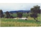 Mudgee NSW 2850