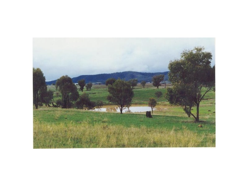Mudgee NSW 2850