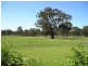 Mudgee NSW 2850