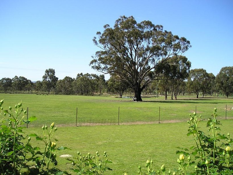 Mudgee NSW 2850