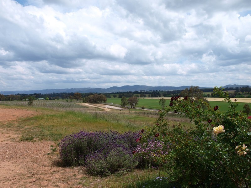 574 Henry Lawson Drive, Mudgee NSW 2850