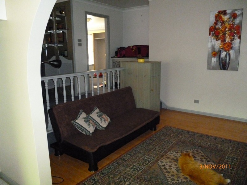 54 Wynella Street, Gulgong NSW 2852