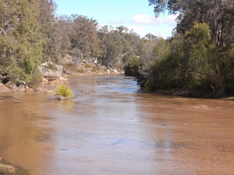 Turill NSW 2850