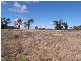 Turill NSW 2850
