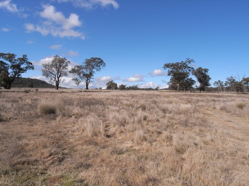Turill NSW 2850