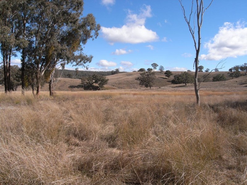 Turill NSW 2850