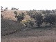 Turill NSW 2850