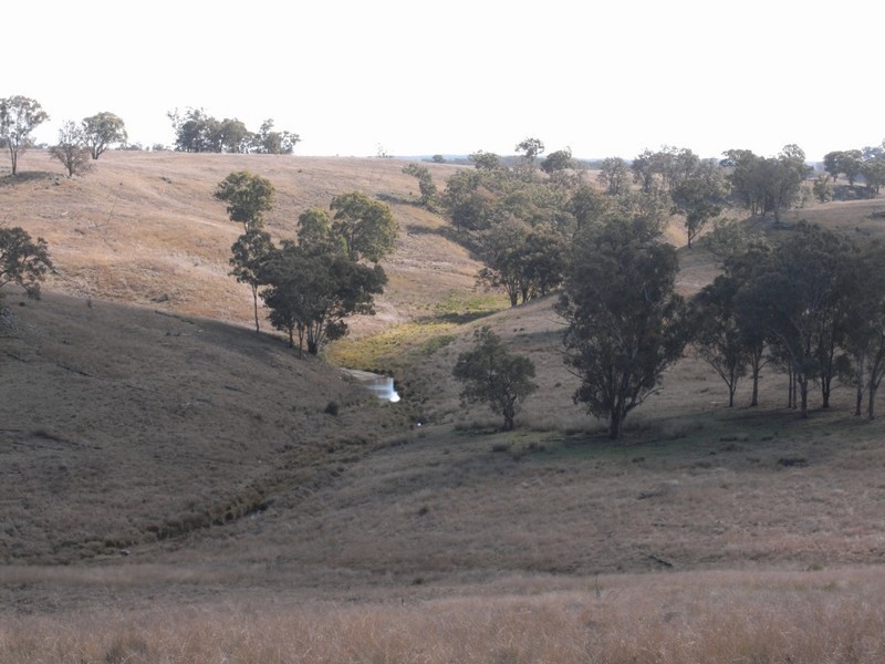 Turill NSW 2850