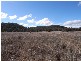 Turill NSW 2850