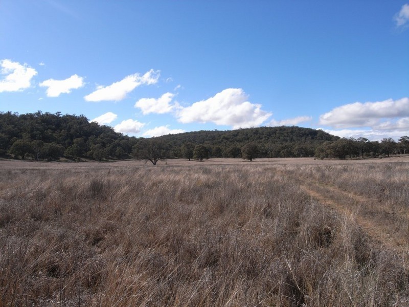 Turill NSW 2850
