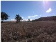 Turill NSW 2850