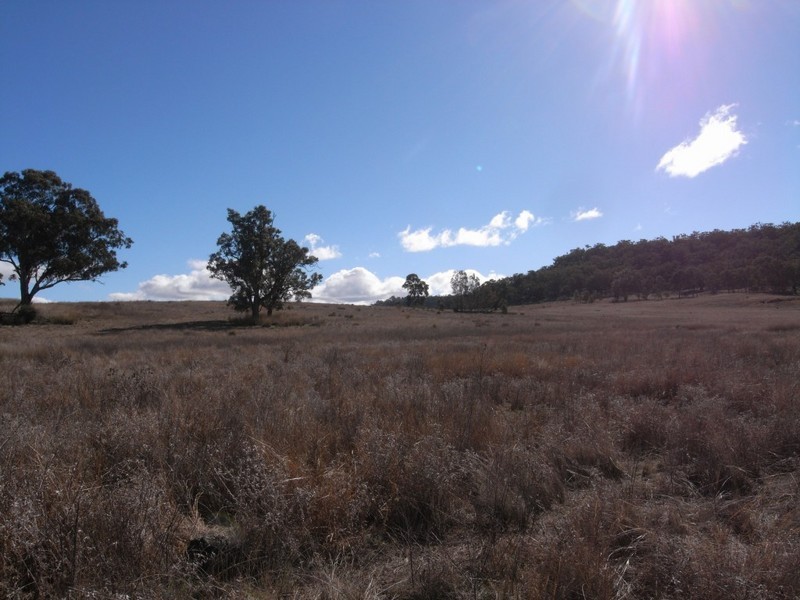 Turill NSW 2850