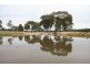 Gulgong NSW 2852