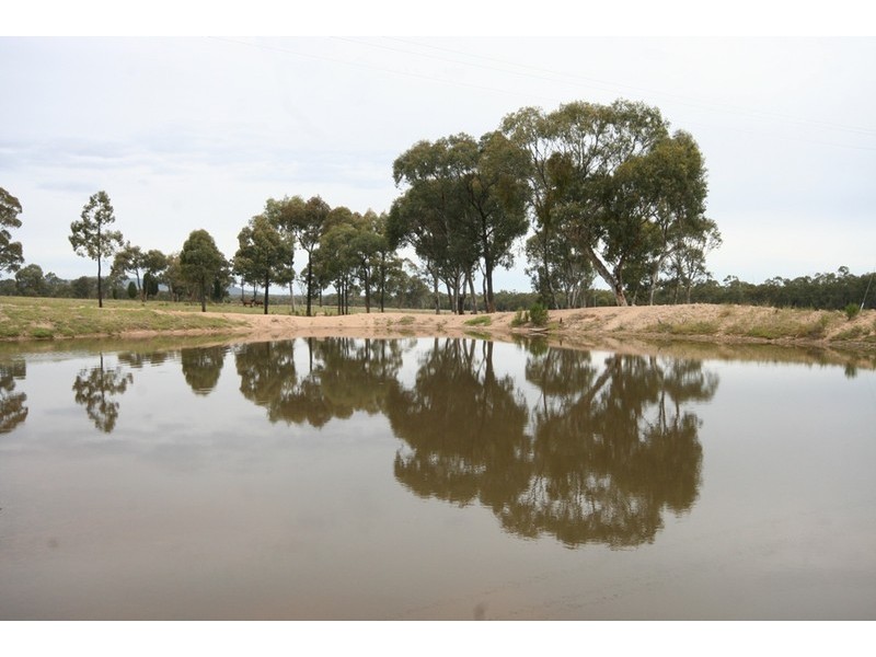 Gulgong NSW 2852