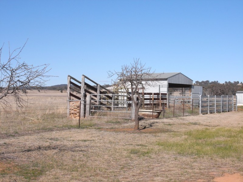 Stony Creek NSW 2850