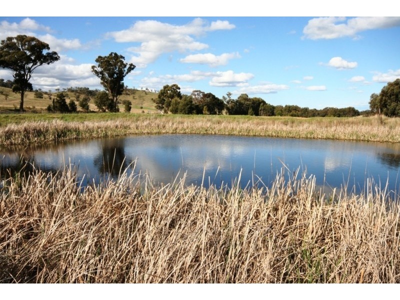 1145 Goolma Road, Gulgong NSW 2852