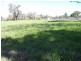 Mudgee NSW 2850