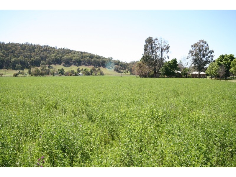 Mudgee NSW 2850