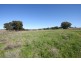 Goolma NSW 2852