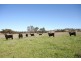 Goolma NSW 2852
