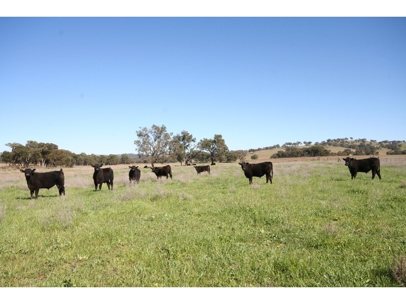 Goolma NSW 2852
