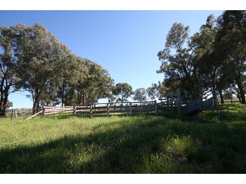 Goolma NSW 2852