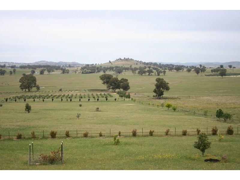 Gulgong NSW 2852