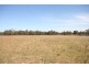 Gulgong NSW 2852