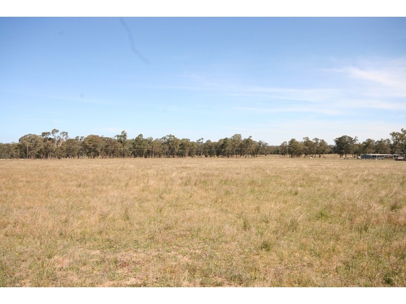 Gulgong NSW 2852