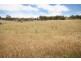 Windeyer NSW 2850
