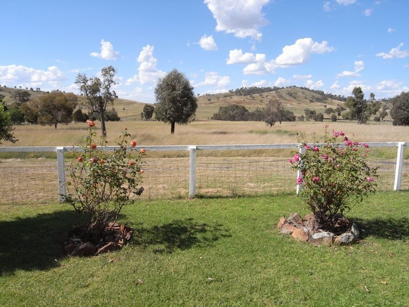 Gulgong NSW 2852
