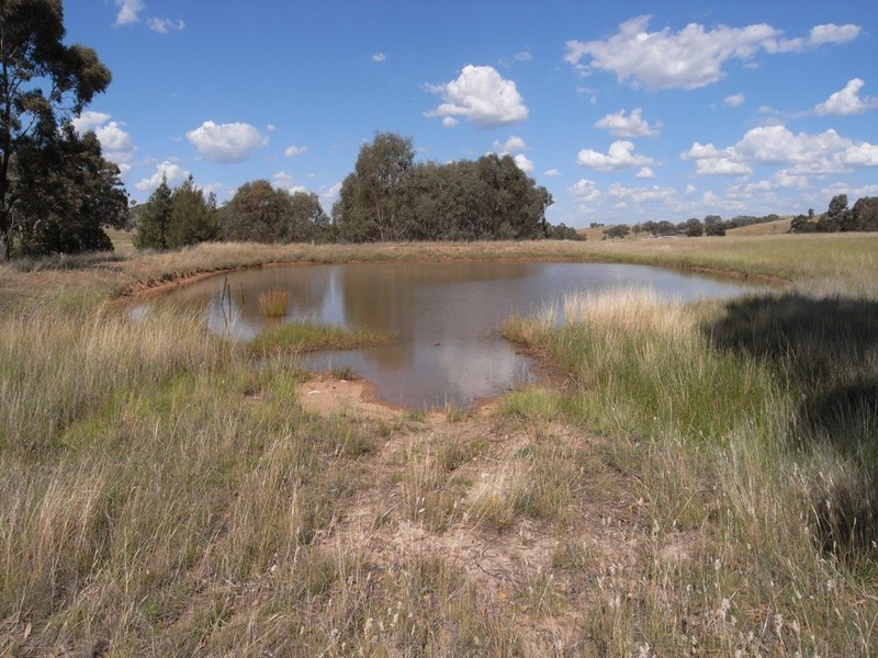 Gulgong NSW 2852