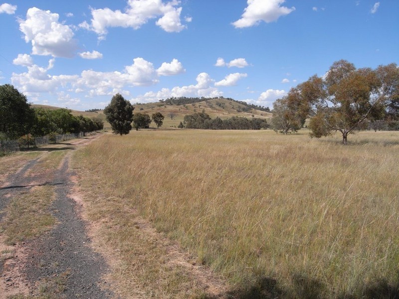 Gulgong NSW 2852