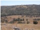 Triamble NSW 2850