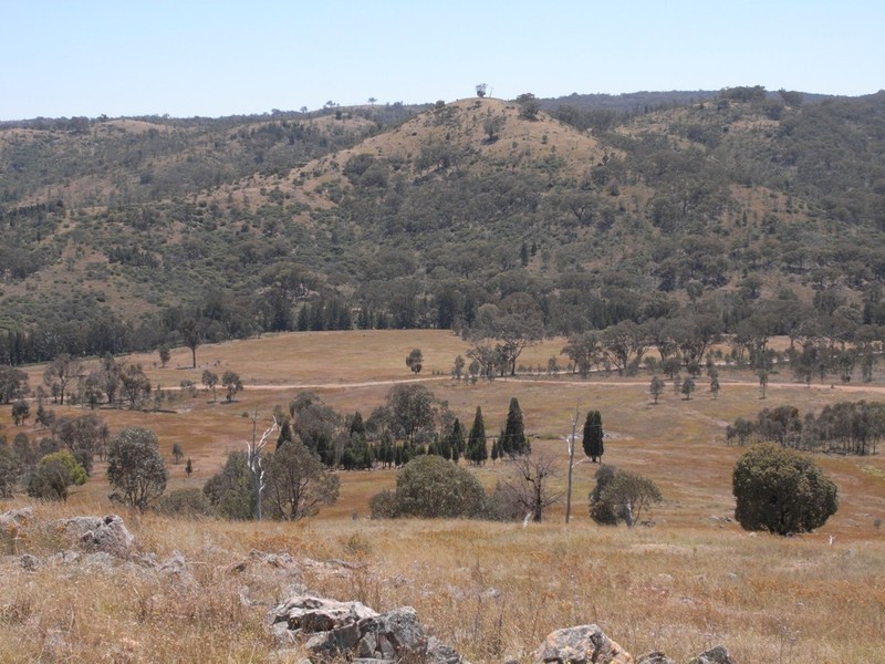 Triamble NSW 2850