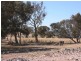 Triamble NSW 2850