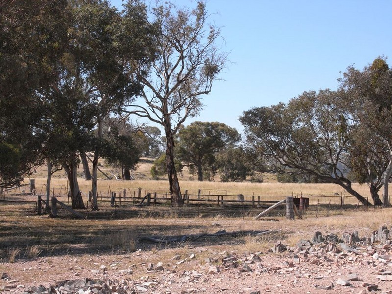 Triamble NSW 2850