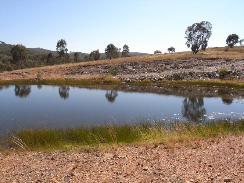Triamble NSW 2850