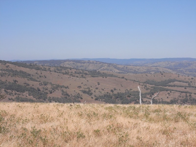 Triamble NSW 2850