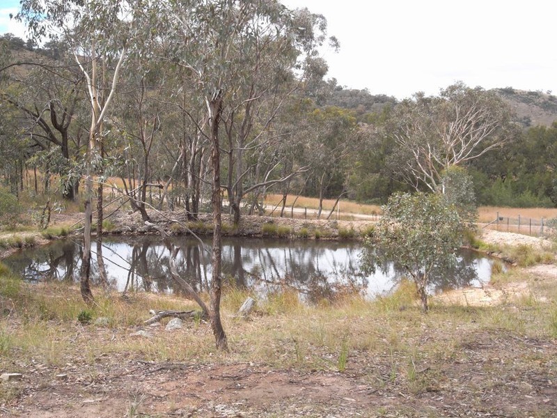 Grattai NSW 2850