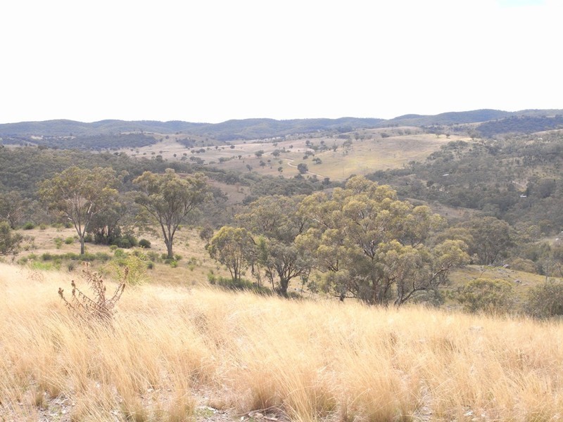 Grattai NSW 2850