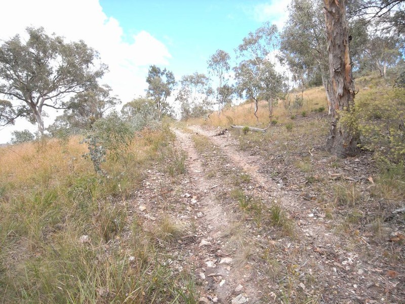 Grattai NSW 2850