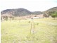 Grattai NSW 2850