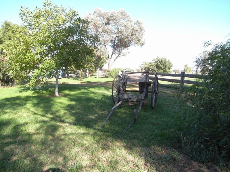 Gulgong NSW 2852