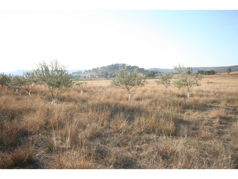 Kains Flat NSW 2850