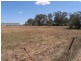 Gulgong NSW 2852