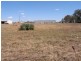 Gulgong NSW 2852