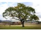 Mudgee NSW 2850