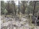 Bocoble NSW 2850